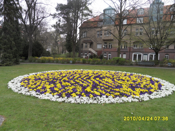100424-berlin_flowerseat.jpg