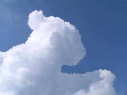 Sheep_Cloud.jpg