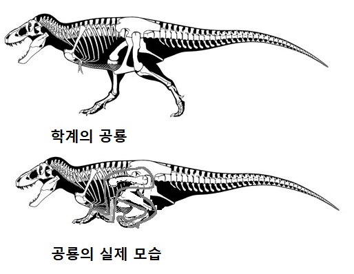 8j.jpg