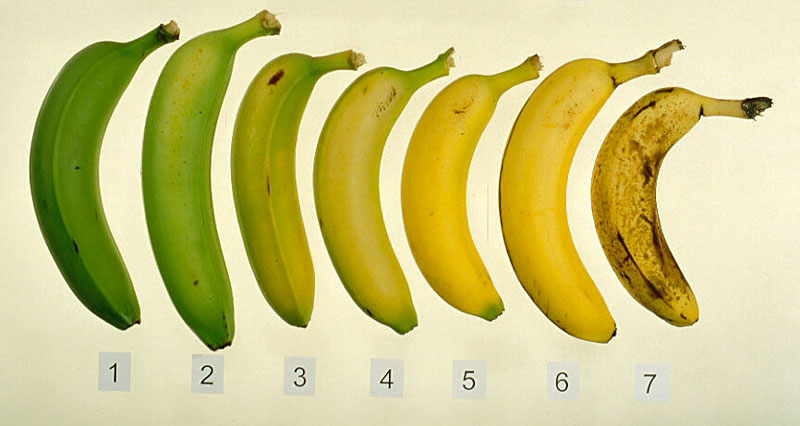bananas-766426.jpg