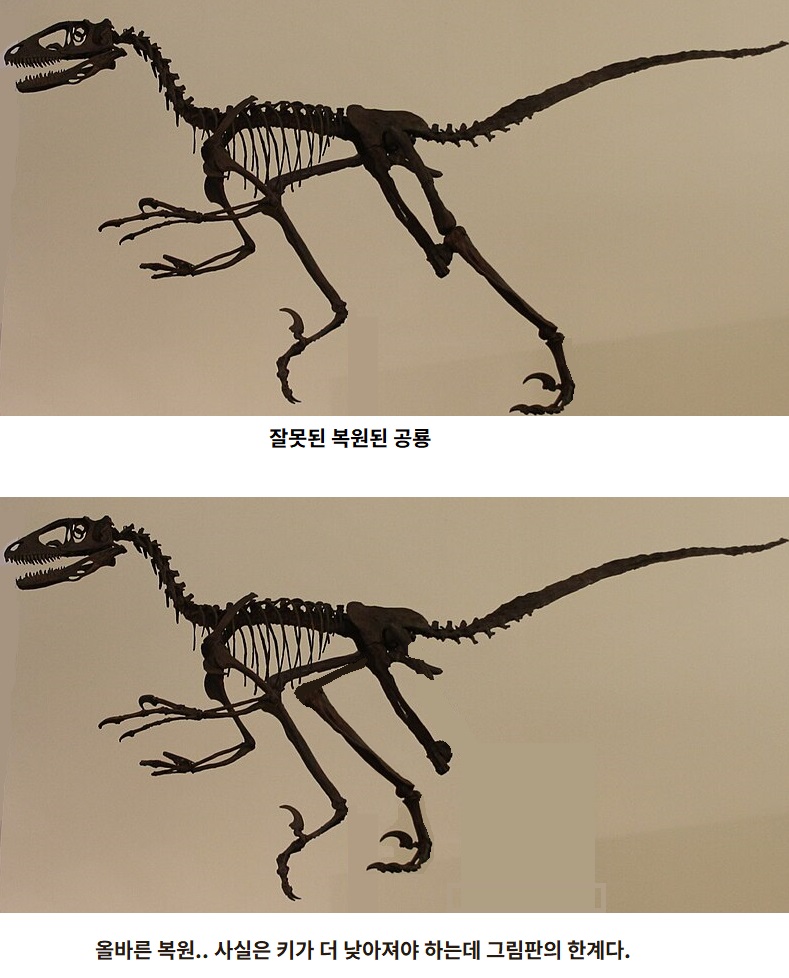 Deinonychus_antirrhopus,_Sedgwick_Museum_of_Earth_Sciences,_Cambridge.jpg