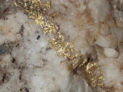 marli-miller-gold-vein-in-quartz-sample-is-about-4cm-across.jpg