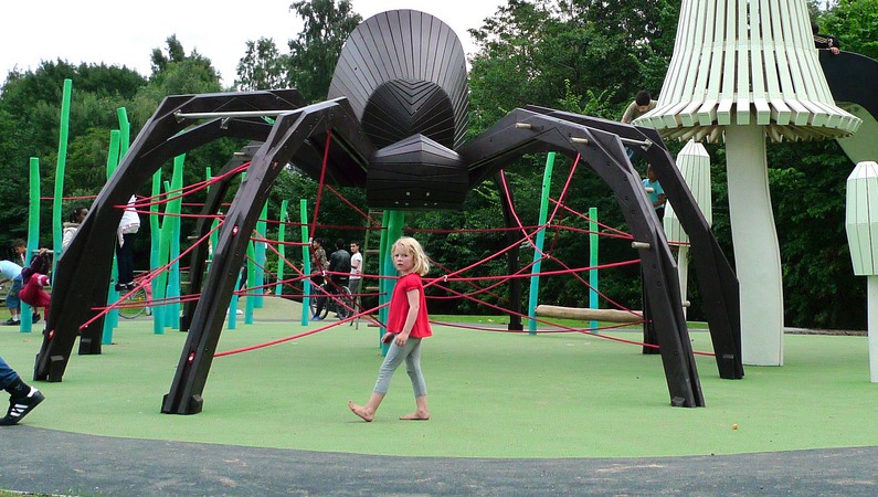 Spider_playground5.jpeg
