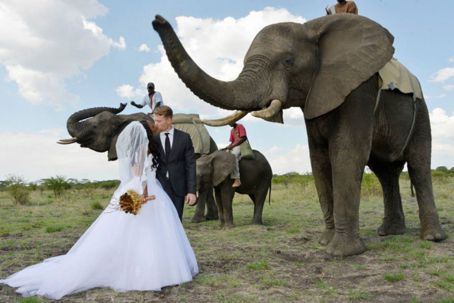 1-african-safari-wedding-20.jpg