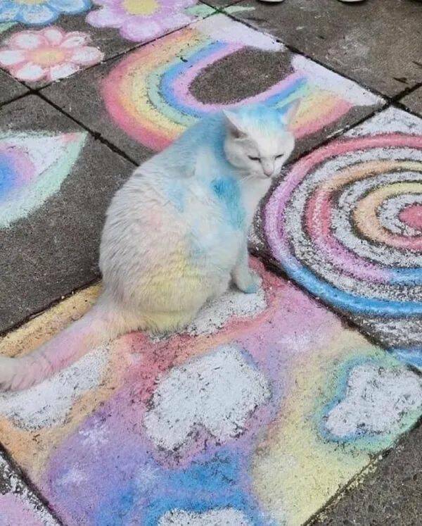 daily_picdump_4723_640_high_53.jpg