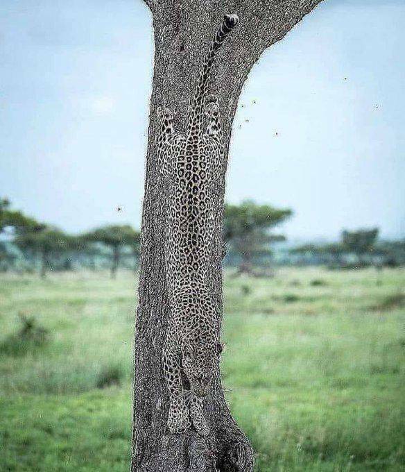 daily_picdump_4817_640_high_17.jpg