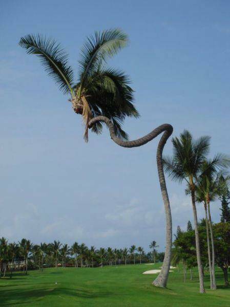 morning_picdump_4201_640_high_40.jpg