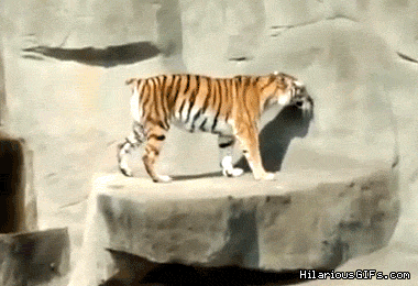 dtidid.gif