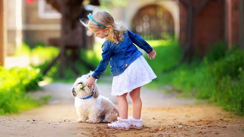 cute-girl-play-white-dogt.jpg