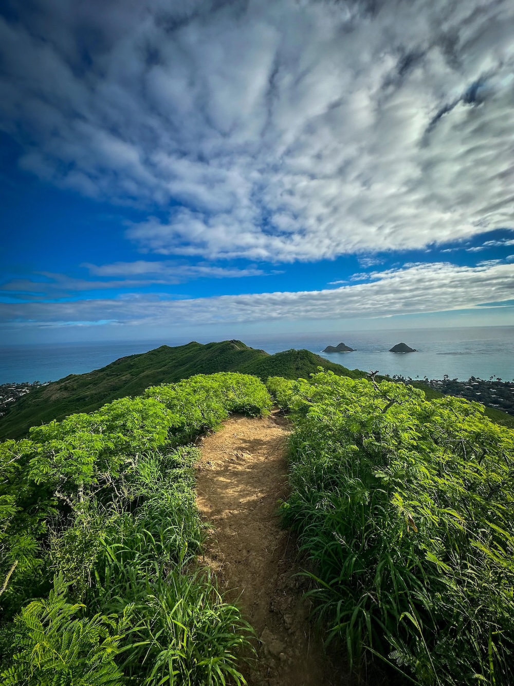 kailua-hawaii-this-morning-v0-7tlukraxdmje1.jpg