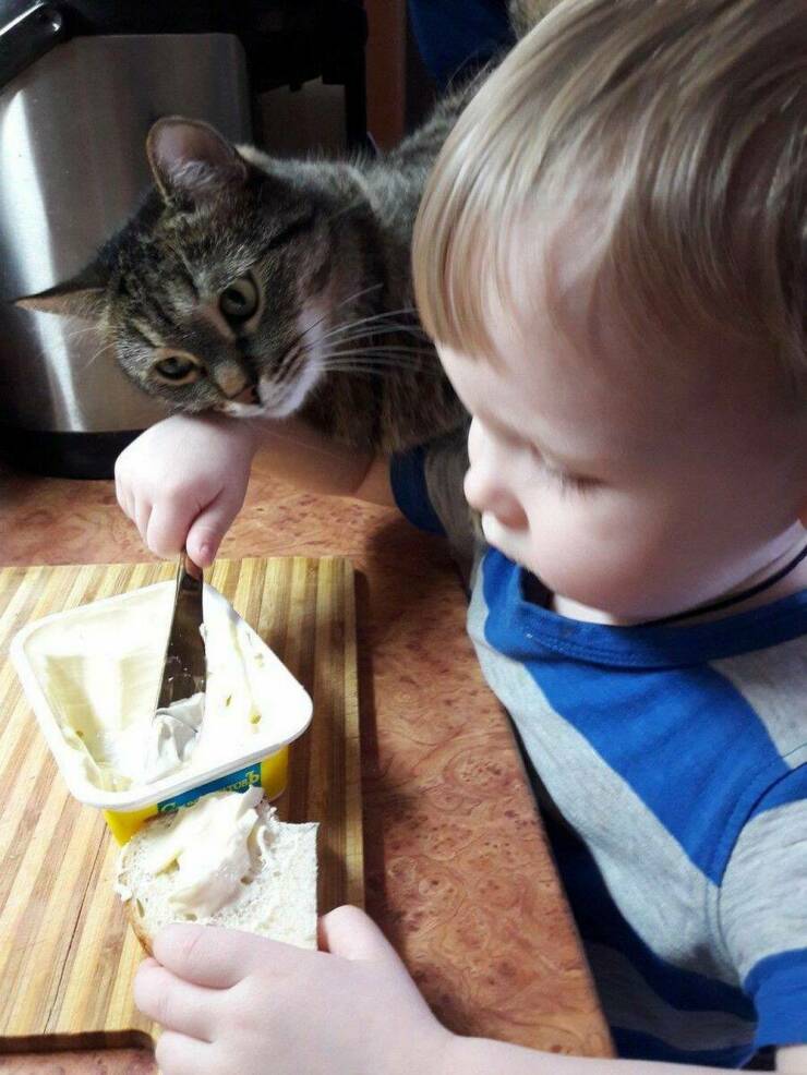 morning_picdump_4208_640_high_28.jpg