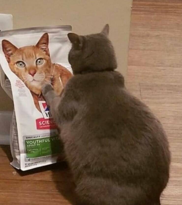 daily_picdump_4957_640_high_11.jpg