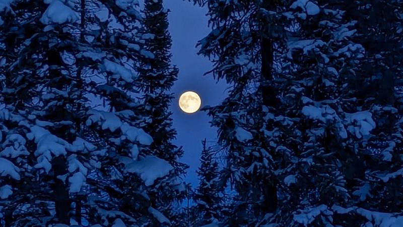 a-photo-of-the-full-moon-v0-62r3rhmswu8c1.jpeg