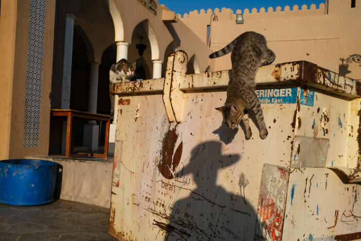 raw_and_real_street_photography_that_speaks_without_words_640_19.jpg