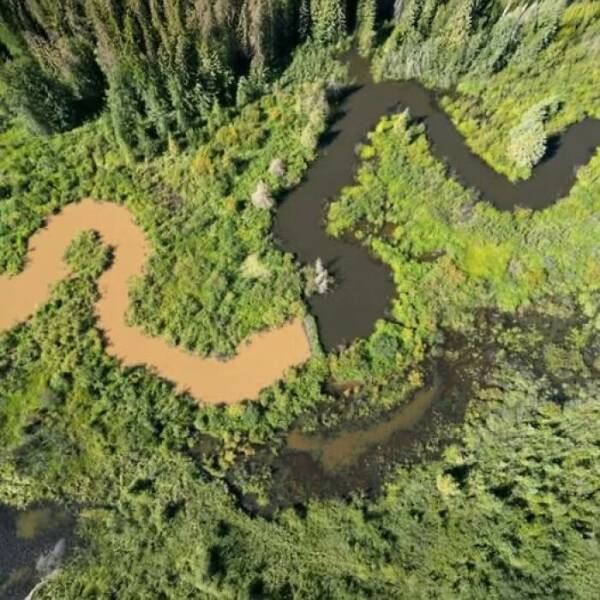 hidden_wonders_of_nature_that_feel_almost_too_magical_to_be_real_640_09.jpg