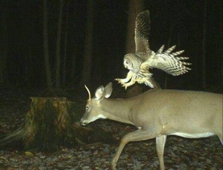 hidden_wonders_of_nature_that_feel_almost_too_magical_to_be_real_640_50.jpg