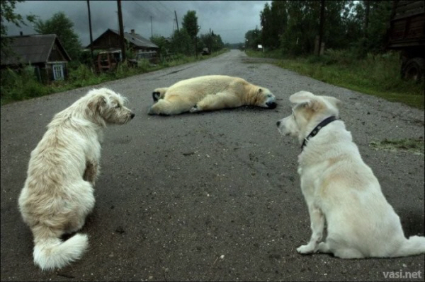 pjatnichnaja_fotopodborka_142_foto_73.jpg