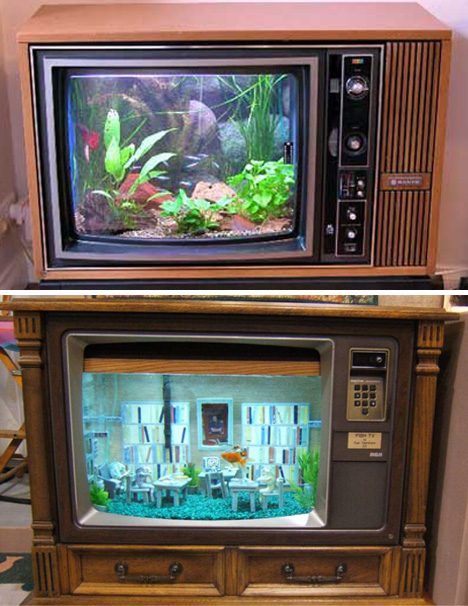 Aquarium-Television.jpg