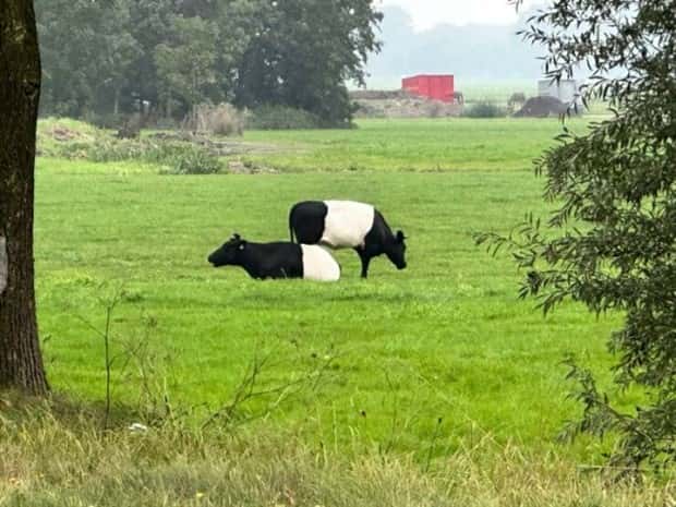klyker-picdump-5-26-2025-17.jpg