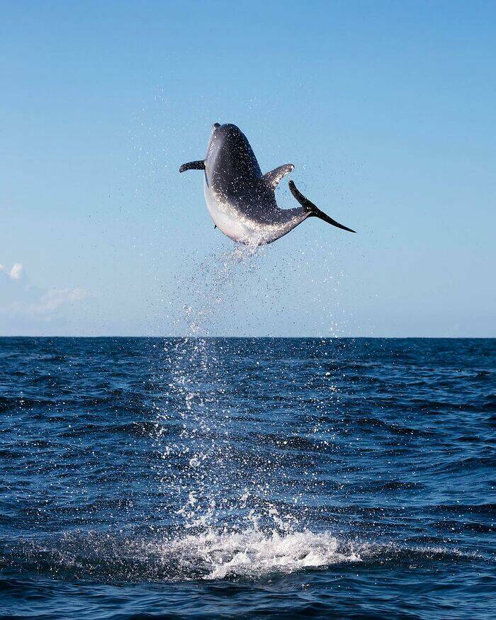 the_magical_beauty_of_the_ocean_640_high_08.jpg