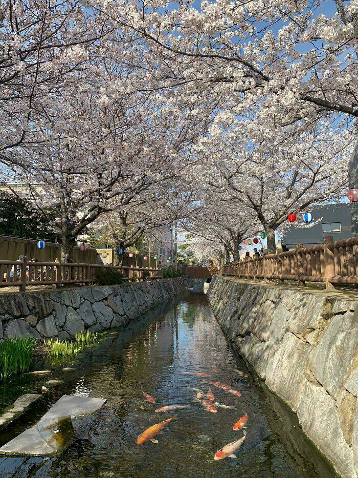 fascinating_photos_that_showcase_japans_unique_charm_640_high_03.jpg