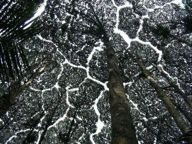 a_journey_through_surreal_imagery_640_33.jpg