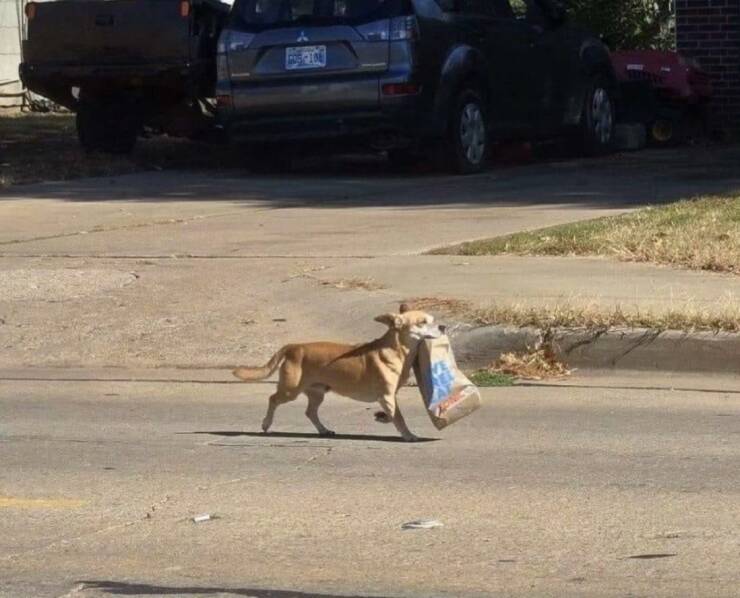 daily_picdump_4956_640_58.jpg