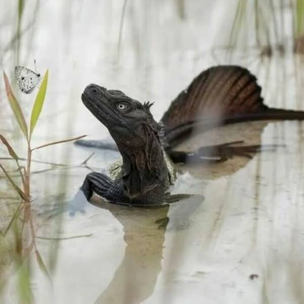 hidden_wonders_of_nature_that_feel_almost_too_magical_to_be_real_640_44.jpg