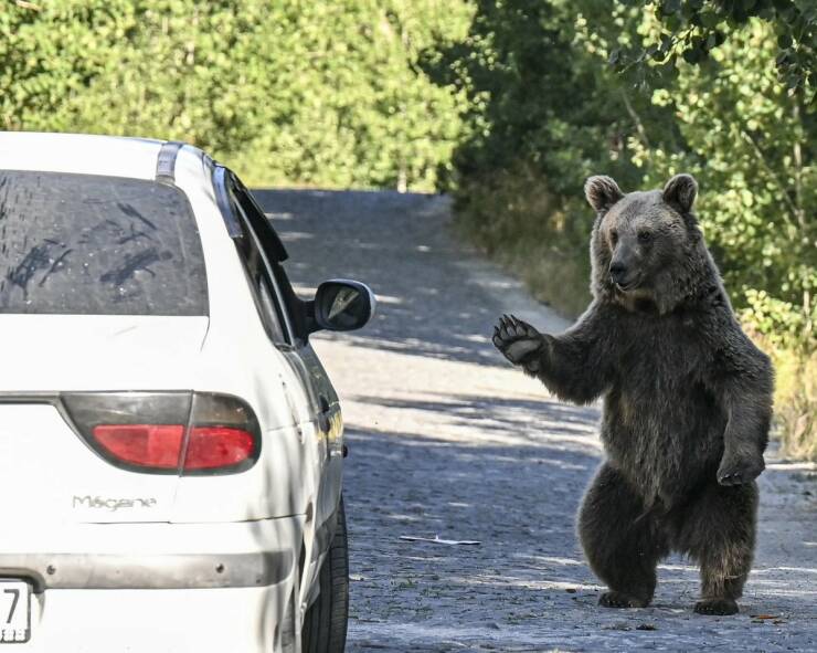 daily_picdump_4937_640_48.jpg