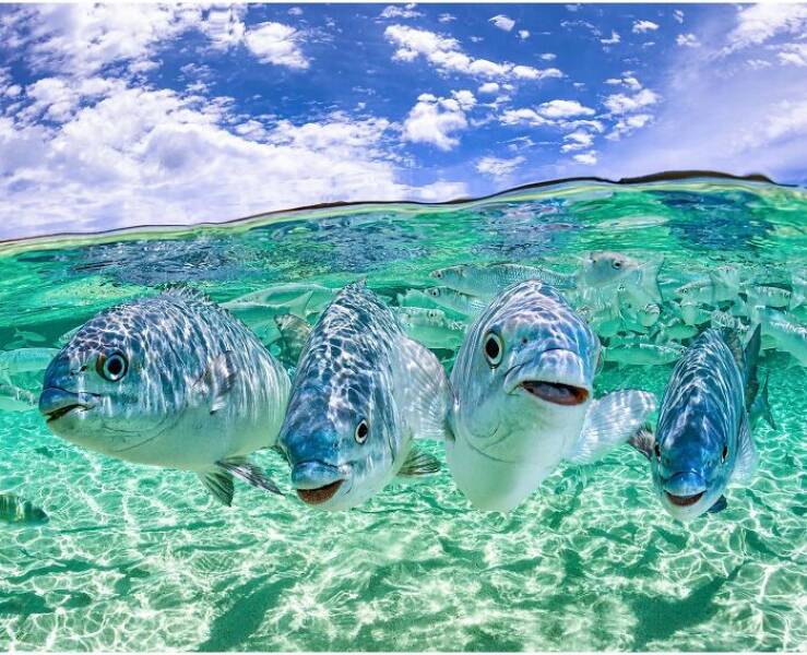 the_magical_beauty_of_the_ocean_640_02.jpg