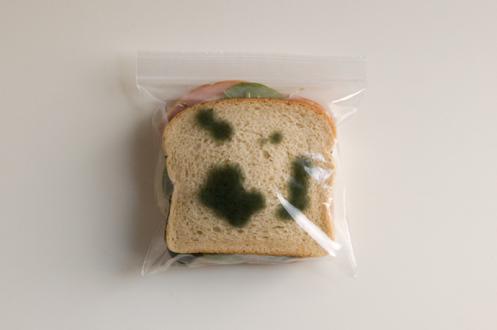 anti-theft-sandwich-bags-2.jpg