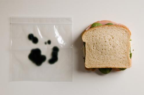 anti-theft-sandwich-bags.jpg