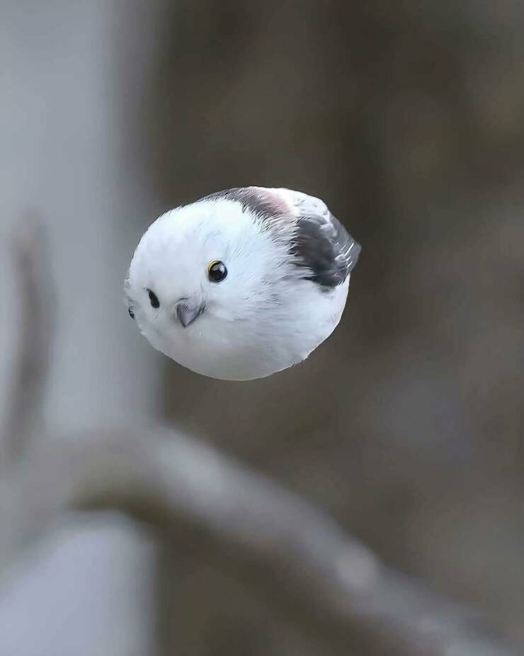 morning_picdump_4126_640_high_42.jpg