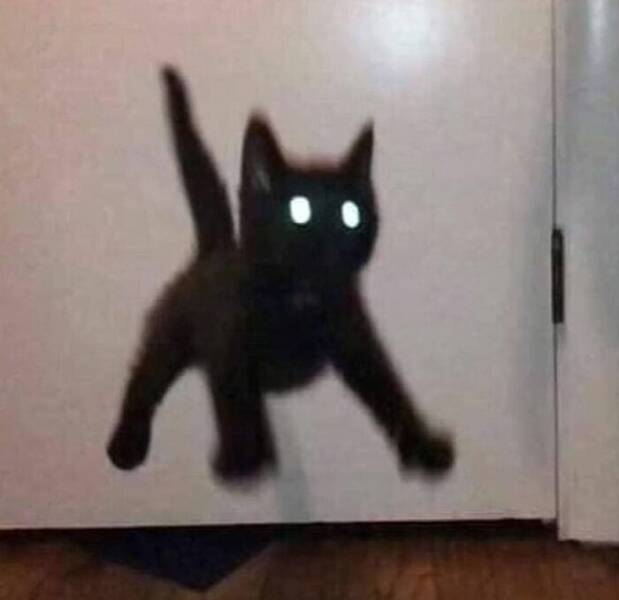 when_animals_went_full_goblin_mode_640_15.jpg