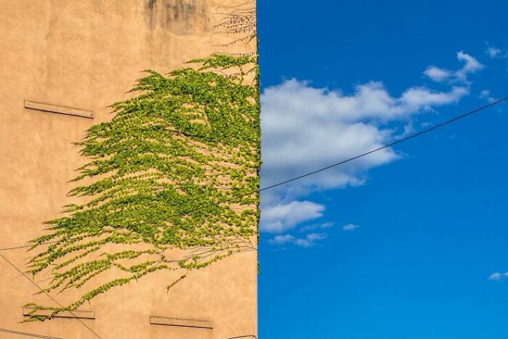 perfectly_timed_shots_of_daily_life_that_will_surprise_you_640_07.jpg