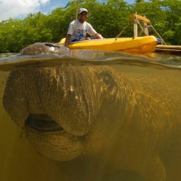 daily_picdump_4957_640_28.jpg