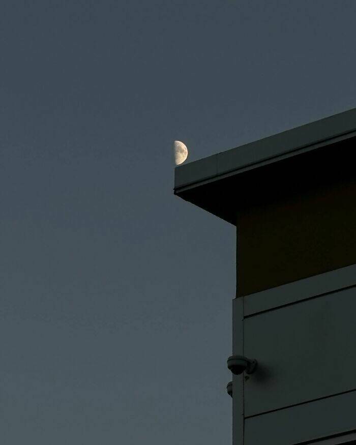 perfectly_timed_shots_of_daily_life_that_will_surprise_you_640_high_03.jpg