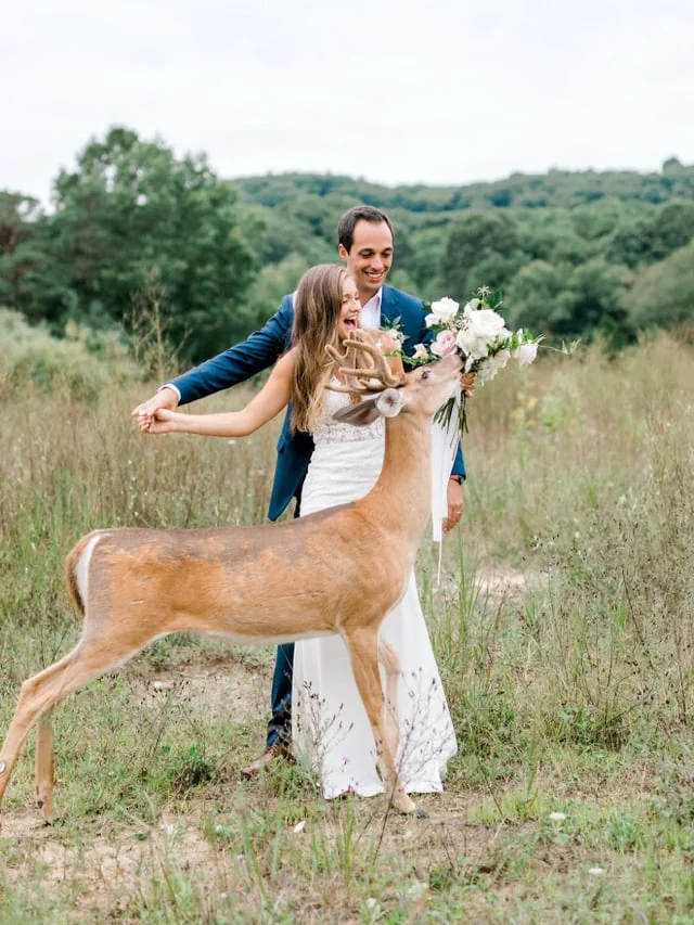 deer-crashing-a-wedding-photo-shoot-v0-xz5e1p6y372b1.png