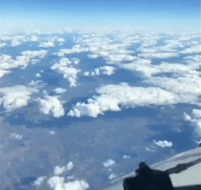 fantastic_gifs_showing_things_we_dont_see_every_day_14.gif