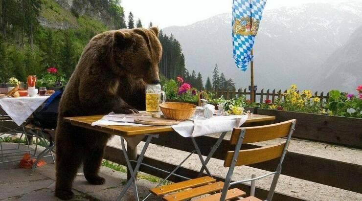 morning_picdump_4189__20.jpg