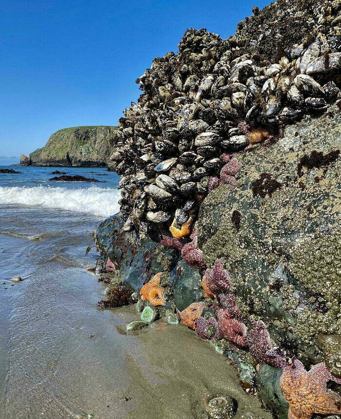 stunning_ocean_photos_that_reveal_its_deepest_mysteries_640_high_32.jpg