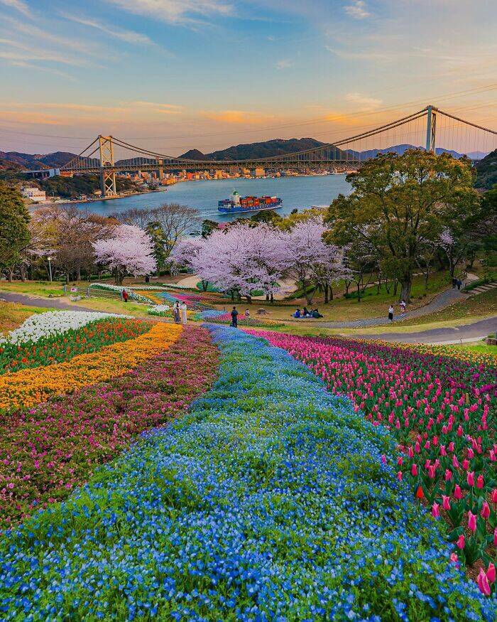 fascinating_photos_that_showcase_japans_unique_charm_640_high_26.jpg