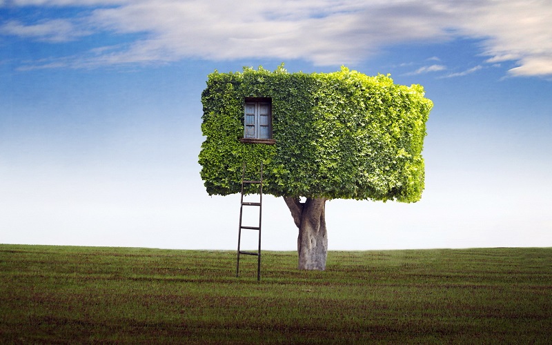 Funny-Tree-House-Picturetr.jpg
