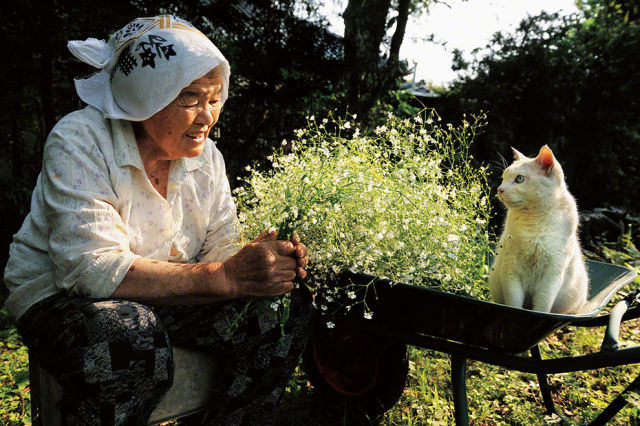 special_friends_granny_and_her_cat_640_05.jpg