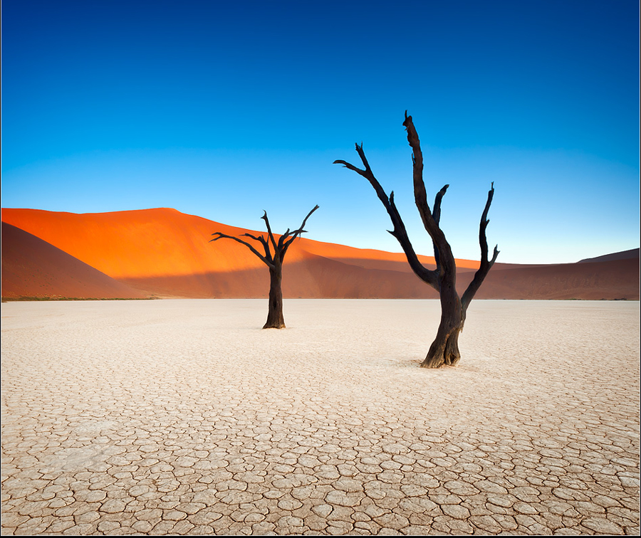 Deadvlei-Namibia.png