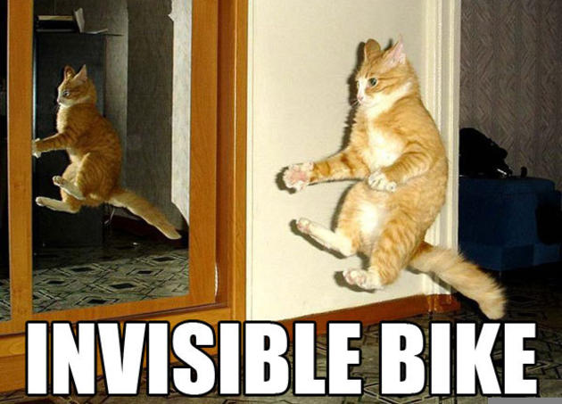 funny_cats_lol_cats_invisible_cat.jpg