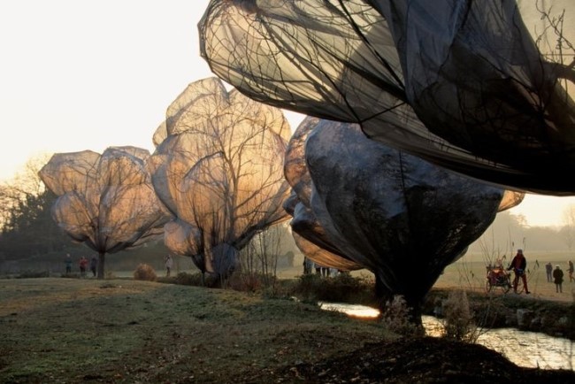 Christo_and_Jeanne-Claude_-_Wrapped_Trees.jpg