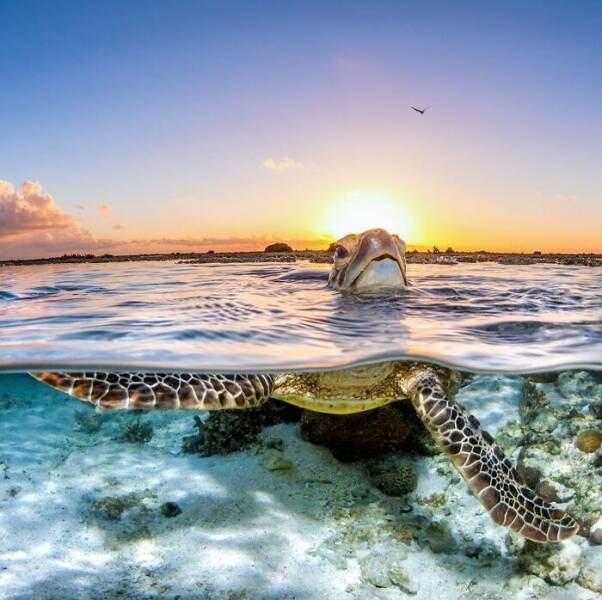 the_magical_beauty_of_the_ocean_640_10.jpg