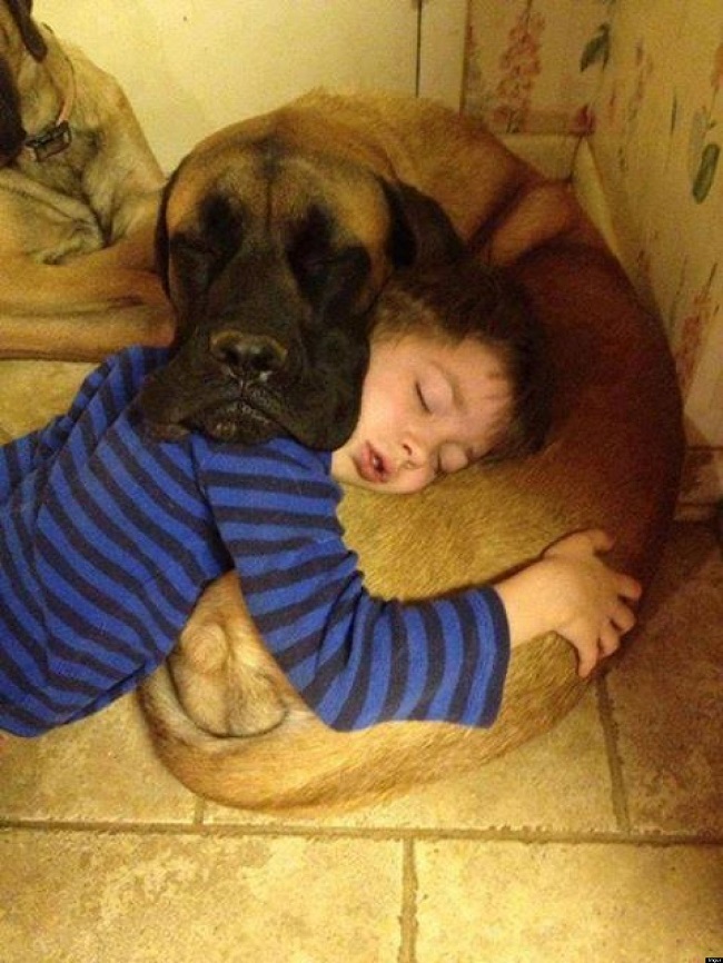o-DOG-AND-BABY-SLEEPING 1.jpg