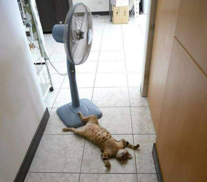 morning_picdump_4204_640_44.jpg